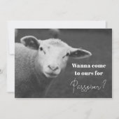 Einladung zum Spaß Pessach (Vorderseite)