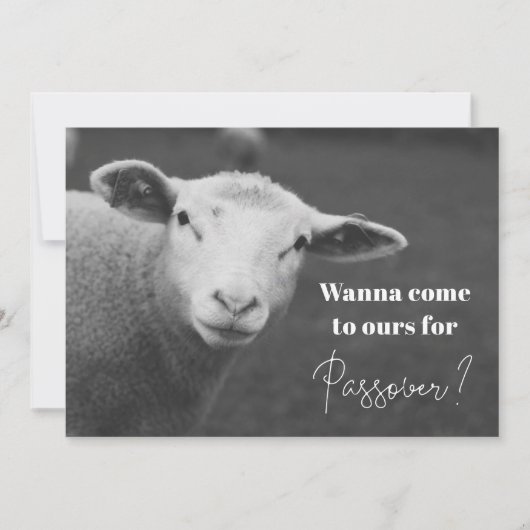 Einladung zum Spaß Pessach (Vorderseite)