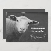 Einladung zum Spaß Pessach (Vorne/Hinten)