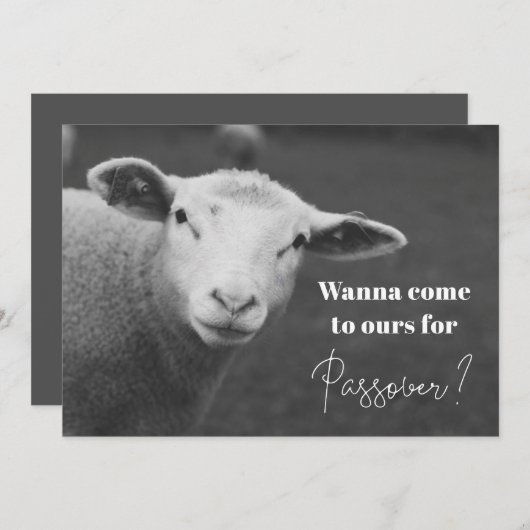 Einladung zum Spaß Pessach (Vorne/Hinten)