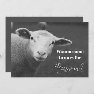 Einladung zum Spaß Pessach