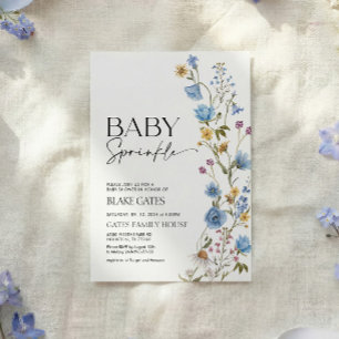 Einladung zur Blue Baby Sprinkle