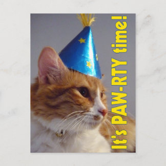 Einladung zur Geburtstagspartei PAW-RTY Cat Postka