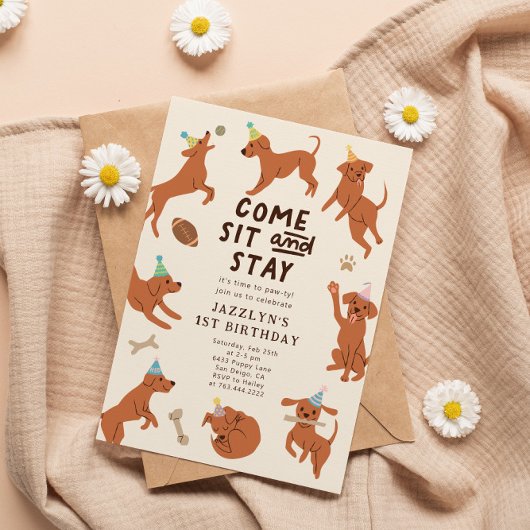 Einladung zur Geburtstagsparty von Welppy Pawty