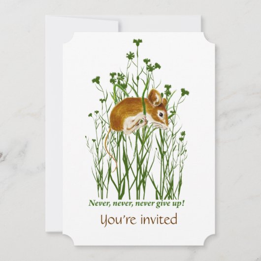 Einladung zur gezielten Bekämpfung der Krebsfinanz (Vorderseite)