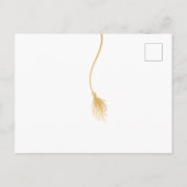 Einladung zur Graduationspartei Grad Cap (Rückseite)