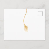 Einladung zur Graduationspartei Grad Cap (Rückseite)