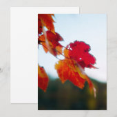 Einladung zur Herbstblatthochzeit (Vorne/Hinten)