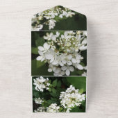 Einladung zur Hochzeit (Außenbereich)