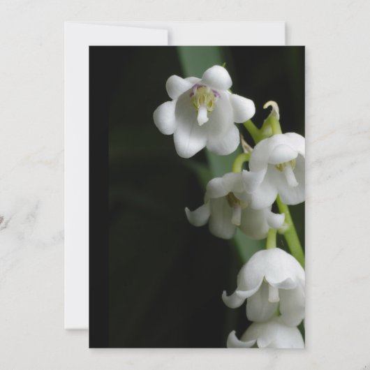 Einladung zur Hochzeit (Rückseite)