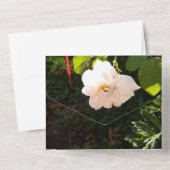 Einladung zur Hochzeit in einem (Rückseite)