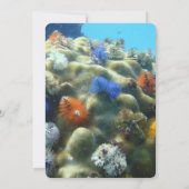 Einladung zur Hochzeit | Unterwasseransicht (Rückseite)