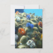 Einladung zur Hochzeit | Unterwasseransicht SAVE T (Rückseite)