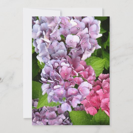 Einladung zur Hochzeit von Hydrangea (Rückseite)