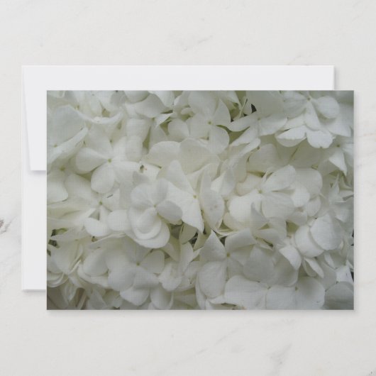 Einladung zur Hochzeit von Hydrangea - von Bride-E (Rückseite)