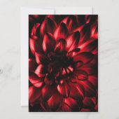 Einladung zur Hochzeitsfeier mit moderner Roter Fl (Rückseite)