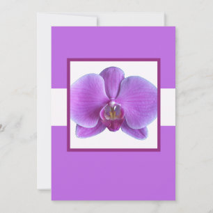 Einladung zur lila Orchid-Hochzeit