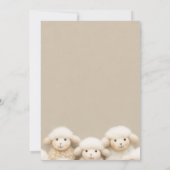 Einladung zur neutralen Babydusche des Schafgeschl (Rückseite)