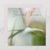 Einladung zur sanften Rose (Vorne/Hinten)