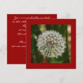 Einladung zur Sommergeburt (Vorne/Hinten)