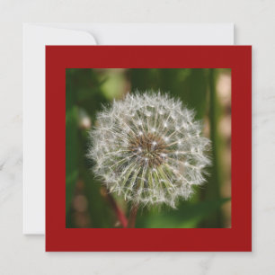 Einladung zur Sommergeburt