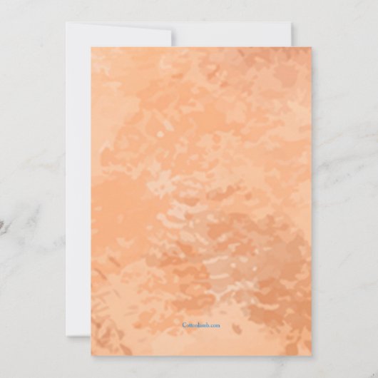 Einladung zur Sommerlesung (Rückseite)