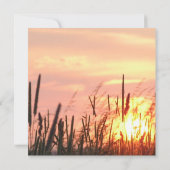 Einladung zur Sonnenuntergang (Rückseite)