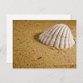 Einladung zur Strandhochzeit in tropischer UAWG (Vorne/Hinten)