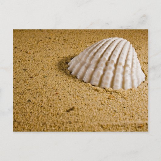 Einladung zur Strandhochzeit in tropischer UAWG (Vorderseite)