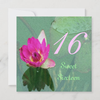 Einladung zur Wasserlilie 16 . Geburtstag