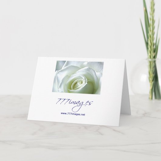 Einladung zur weißen Rose (Rückseite)