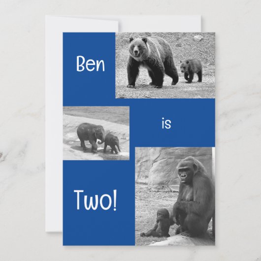 Einladung zur zweispängigen Zoo Birthday Party (Vorderseite)