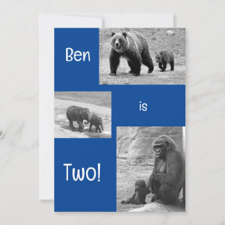 Einladung zur zweispängigen Zoo Birthday Party