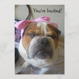 Einladungen Englisch Bulldog Geburtstag oder irgen