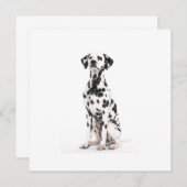 Einladungen für Brandhunde (Vorne/Hinten)