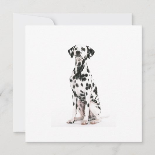 Einladungen für Brandhunde (Vorderseite)