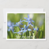 Einladungen für Frühlingsstillate (Vorderseite)