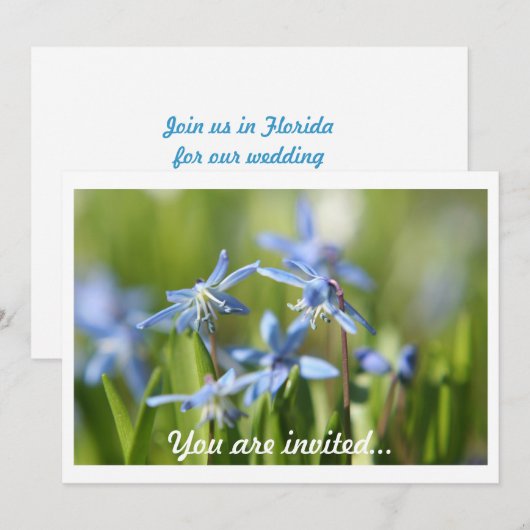 Einladungen für Frühlingsstillate (Vorne/Hinten)