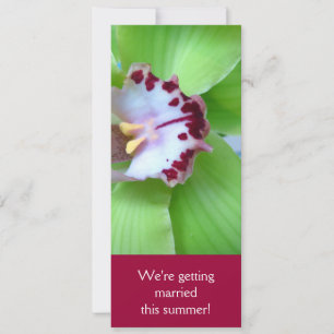 Einladungen für Grüne Orchideen