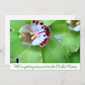 Einladungen für Grüne Orchideen (Vorne/Hinten)