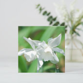 Einladungen für Kleinposten (Stehend Vorderseite)