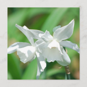 Einladungen für Kleinposten