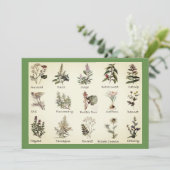 Einladungen für Kräuter und Gewürze (Stehend Vorderseite)