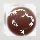 Einladungen für Personalisierte Hunde in Neufundla (Vorne/Hinten)