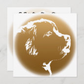 Einladungen für Personalisierte Hunde in Neufundla (Vorne/Hinten)