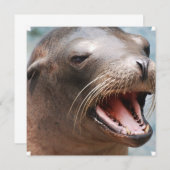 Einladungen für Seelöwe (Vorne/Hinten)