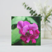 Einladungen für Zuckererbsen (Stehend Vorderseite)