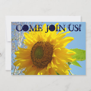 Einladungen Gelbe Sonnenblumen Kommen Sie zu uns!