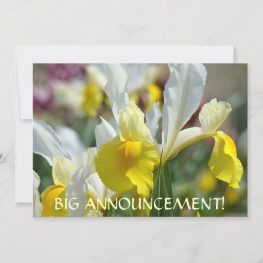EINLADUNGEN Große Ankündigung! IRIS-BLUME (Vorderseite)