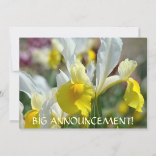 EINLADUNGEN Große Ankündigung! IRISBLUMEN